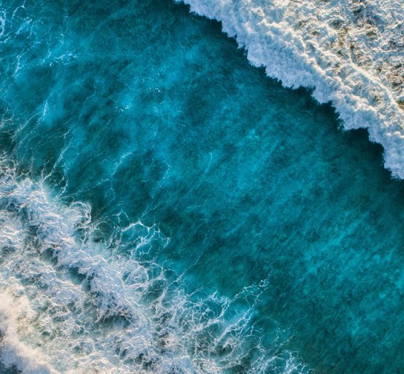 Environmental impact