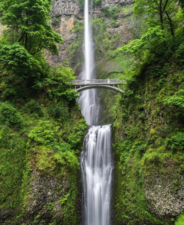 Environmental impact